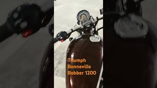 Triumph Bonneville Bobber 1200 [upl. by Eldin]