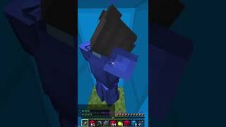 Trolled him in bridge minecraft minemen thebridge [upl. by Naeerb]