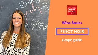 Wine Basics Pinot Noir Grape Variety Masterclass [upl. by Elicul]