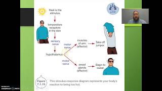 Somatic amp Autonomic Nervous Systems [upl. by Irtak]