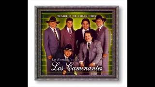 Los Caminantes Inolvidable Del Compositor Ramiro Aguilar [upl. by Nossah]