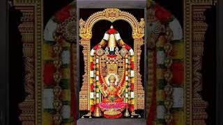 Tirumala vasa Sri Venkatesa [upl. by Skipp]