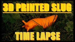 GIANT 3D PRINTED SLUG TIME LAPSE on ENDER3 15 HOURS in 24 seconds [upl. by Tavie]