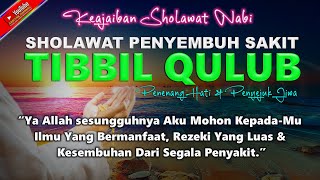 Sholawat Nabi Penyembuh Penyakit Sholawat TIBBIL QULUB SYIFA Merdu Yang Menyejukkan Hati amp Pikiran [upl. by Newton920]