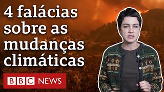 Aquecimento global 4 afirmações sobre as mudanças climáticas que a ciência desmentiu [upl. by Larual793]