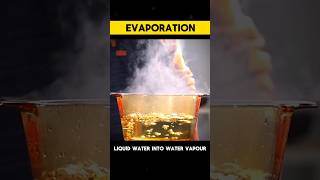 EVAPORATION evaporation  WHAT IS EVAPORATION shortsviraltrendingcondensationscience [upl. by Llekram]