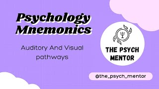 Auditory and Visual pathway  Mnemonic [upl. by Eitsirk]