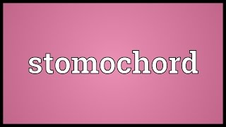 Stomochord Meaning [upl. by Hegarty387]