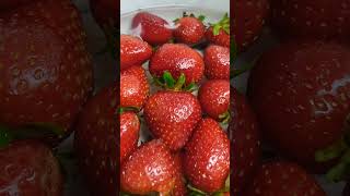 Strawberrynaturefruits lovercanadashortfeedsgreen vlogs by shaluEp 121 [upl. by Eivol]