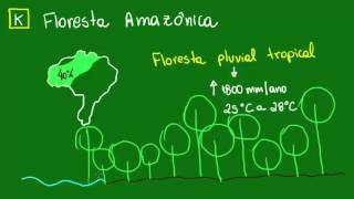 Floresta Amazônica  Ecologia  Biologia [upl. by Erdeid]