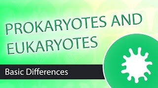 Prokaryotic and Eukaryotic Cell Differences [upl. by Kathy]