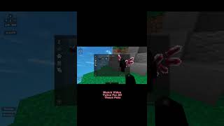 Which Will You Pick minecraft bedwars hypixel [upl. by Clark63]