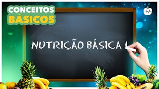 Curso de Nutrição Básica I  Conceitos Iniciais [upl. by Ecnedurp]