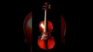 The MOST EXPENSIVE violin revealed [upl. by Kulsrud]