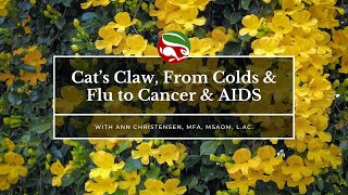 Cat’s Claw From Colds amp Flu to Cancer amp AIDS [upl. by Isle112]