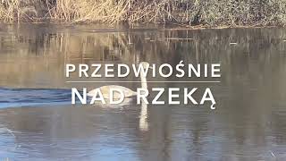 Przedwiośnie nad rzeką [upl. by Charleen]