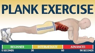 How to Plank exercise  The Ultimate Fitness Guide [upl. by Jud]