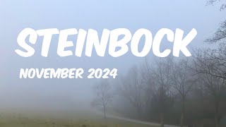 Steinbock 🏔️ November 24 • Ein Abschluss bahnt sich an [upl. by Yelkreb917]