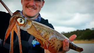 How To Catch Squid  Jetty Fishing [upl. by Singh475]