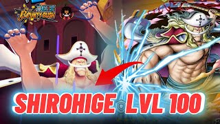 ‼️LIVE VUELVEN BARBABLANCA Y ODEN😱¿RENTA TIRAR🤔  One Piece Bounty Rush [upl. by Nosned]