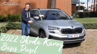 2022 Skoda KAROQ Style 20 TDI 115 PS Test mit BasisLED und 8quot Amundsen 4K  Autophorie [upl. by Akerehs]