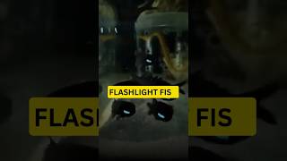 Flashlight fish [upl. by Klara]