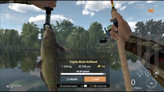 TROPHY Black Bullhead  MUDWATER RIVER Missouri  Fishing Planet PS4 [upl. by Catt]