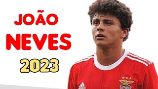 João Neves  The Next Big Midfielder Skills And Goals 2023 [upl. by Akenahc]