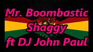 Mr Boombastic REGGAE  Shaggy  DJ John Paul [upl. by Ydolem]