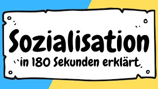 SOZIALISATION einfach erklärt  Definition Phasen und Instanzen der Sozialisation  ERZIEHERKANAL [upl. by Annovaj549]