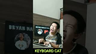 KEYBOARD CAT MEME [upl. by Haymes687]