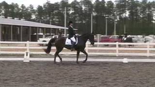 Standardbred Dressage [upl. by Ahseined]