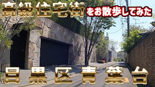 【高級住宅街 vol5】目黒区青葉台二丁目を散歩してみました（撮影カメラ：Gopro HERO 9 BLACK [upl. by Atirac]