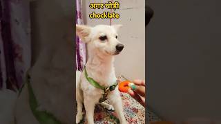 दवा मीठी होनी चाहिएshorts funnyyoutubetrending shortsfeedviralvideo ytshorts doglover [upl. by Acinna875]