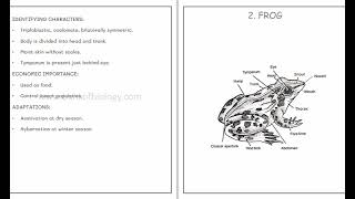 zoology practical records 1amp2 NCERT  malayalam [upl. by Ahsin521]