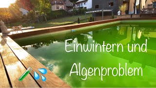 Intex Pool winterfest machen und massives Algenproblem [upl. by Lindemann]