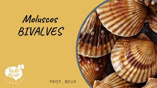 MOLUSCOS  BIVALVES  Ensino Fundamental [upl. by Ahseeyt484]