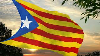 Catalonia  Estelada Blava flag [upl. by Haroved195]