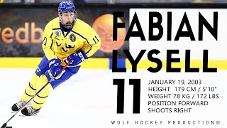 The Best Of Fabian Lysell  Top Prospect For The NHL 2021 Draft  Hockey Highlights  HD [upl. by Rebma]