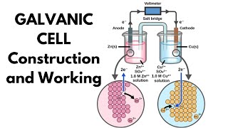 Galvanic cell l Construction and Working [upl. by Eissel914]