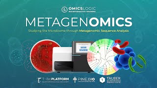 Metagenomic Data Analysis [upl. by Vullo]