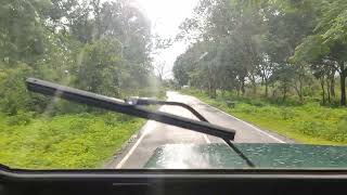 masinagudi jeep safari ride [upl. by Klingel]