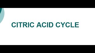 Citric Acid Cycle I Krebs cycle I C3 Cycle I Tricarboxylic Acid Cycle I TCA Cycle [upl. by Nitz]