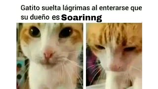 MEMES que me PASARON por el CHAT [upl. by Favianus]