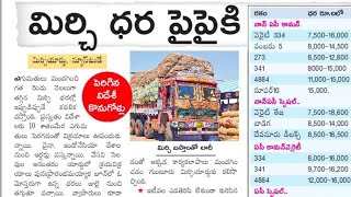 Guntur mirchi market rate today  06092024 [upl. by Llerraf]