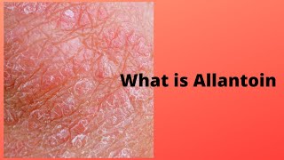 What is Allantoin [upl. by Malet]