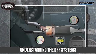 Understanding the DPF Systems [upl. by Murat]