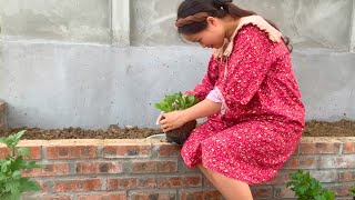 Vegetable Garden Renovation Episode 14  Growing Flowers In The Garden [upl. by Bandeen]