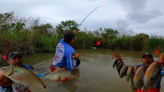 Pesca caipira com variedade de peixes na varinha de mão Foi de suspender [upl. by Nageam265]