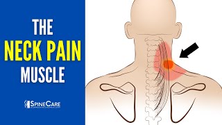 The Neck Pain Muscle How to Release It for INSTANT RELIEF [upl. by Hcelemile]